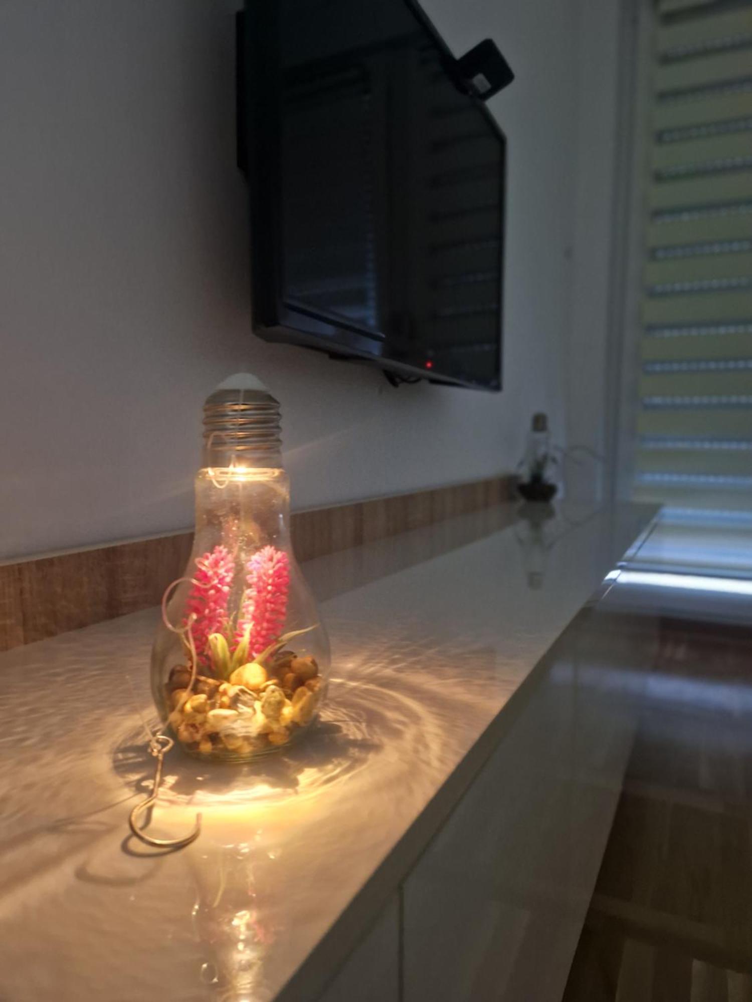 Apartment Mina